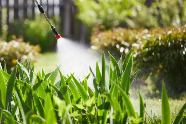 24/7 Emergency Mosquito Control experts in Kodiak, AK