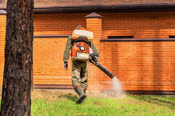 Top rated local Mosquito Control specialists in Kodiak, AK